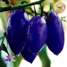 100Seeds Purple Cherry Tomato Seeds Organic Heirloom Fruit Vegetable - £23.19 GBP