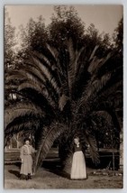 RPPC Huge Date Palm Tree on Walnut St Victorian Ladies with Cat Postcard H27 - £23.70 GBP