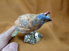 (Y-BIR-QU-31) Quail tan green blue bird gemstone STONE figurine Peru quails - $587.08 MXN