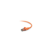 Belkin - Cables A3L980-01-ORG-S 1FT CAT6 Org Utp Snagless RJ45 M/M Pacth Cable B - £15.80 GBP