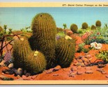 Barrel Cactus Visnaga on the Desert UNP Unused Linen Postcard K6 - $2.92