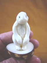 (TNE-PRAI-412A) Prairie Dog Tagua Nut Figurine Carving Vegetable Ground Squirrel - £16.86 GBP