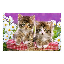 Castorland Kittens in a Basket Puzzle 70pcs - £26.17 GBP