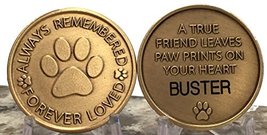 RecoveryChip Personalized Pet Name Memorial Medallion Engraved Always Remembered - £15.49 GBP