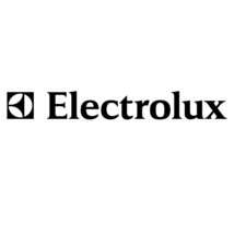 Electrolux Canister Vacuum Bags - 100 bags - $84.89