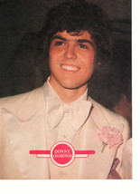 Donny Osmond teen magazine pinup clipping dressed up for a wedding white tie - £2.74 GBP
