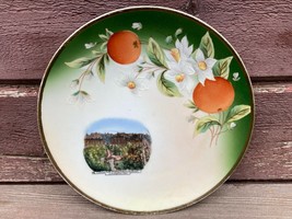 Antique Souvenir China Plate Central Park Auditorium Hotel Los Angeles CA e1900s - £38.75 GBP