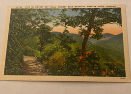 Vintage Postcard Unposted Path To Hickory Nut Falls Chimney Rock Mountain NC - £1.90 GBP