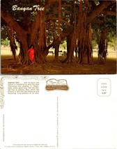 Hawaii Maui Lahaina Lady Leaning on Banyan Tree in Red Dress Vintage Postcard - £7.39 GBP