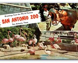 Multivew Greetings From San Antonio Zoo Texas TX UNP Chrome Postcard V22 - £2.30 GBP