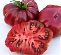 40 Purple Calabash Tomato Solanum Lycopersicum Indeterminate Heirloom Seeds Fres - £15.72 GBP