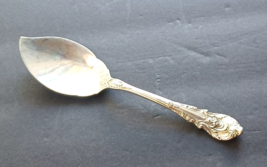 Sir Christopher by Wallace Sterling Silver Large Solid Jelly Server - $54.45