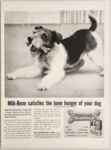 1959 Print Ad Milk-Bone Dog Biscuits Happy Dog with a Treat New York,NY - £15.85 GBP