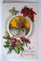 Christmas Postcard Embossed Mica Glitter Poinsettias Trees Series 328 WM Miller - £8.17 GBP