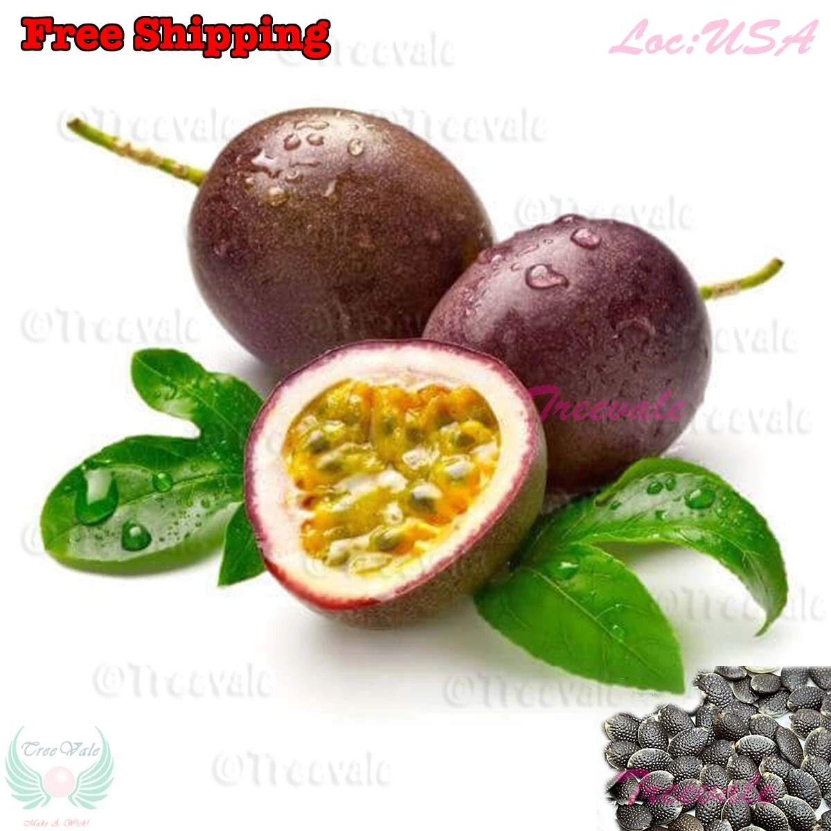 Purple Passion Fruit,  Passiflora Edulis, Vine Passion Flower Seeds | NO... - $7.39