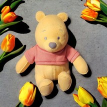Disney Winnie The Pooh Felt Plush New Free Shipping - £24.82 GBP