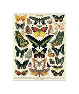 Cavallini French Butterflies Papillons 1000 Piece Jigsaw Puzzle (PZL/BTR) - £23.78 GBP