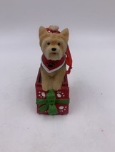 The Humane Society of the United States Christmas Ornament Yorkie Inside Box - £7.96 GBP