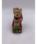 The Humane Society of the United States Christmas Ornament Yorkie Inside... - £8.00 GBP