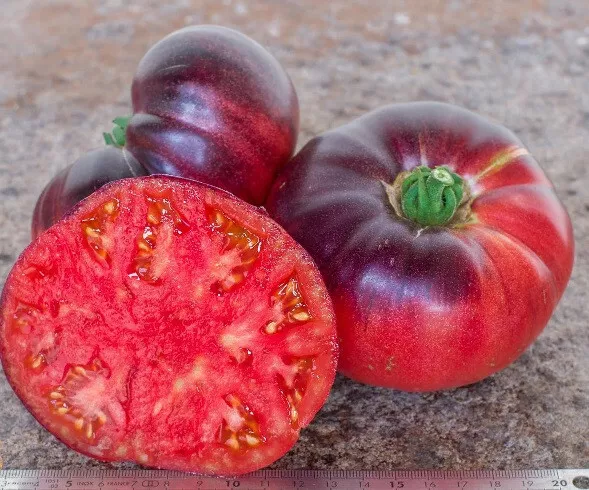 50 Seeds Blue Beauty Tomato Juicy Tomatoe Garden Food - $6.05