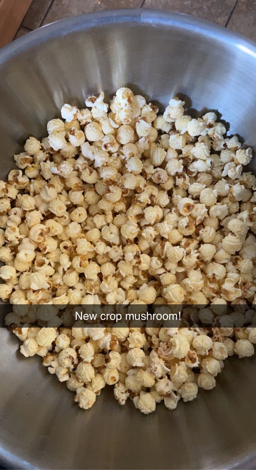 Mushroom Popcorn Kernels From The Farmer Who Grew Them Popcorn