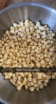 Mushroom Popcorn Kernels From The Farmer Who Grew Them - $1,125.00
