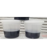 Qty 4 Orchid Seed Sowing Medium Plant Media Culturing Gel Cups Pre-Steri... - £22.77 GBP