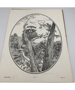 Vintage Signed Raccoon Print 1977 Beejay Frey “lost” 14.5x11.5 - $687.38 MXN