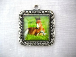 Foal Resting In Grass Pony Horse Glass Cabochon Square Alloy Pendant Necklace - £6.79 GBP
