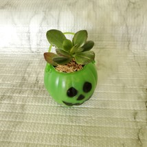 Live Succulent in Mini Halloween Planter, Pumpkin Jack O'Lantern Skull Cauldron image 10