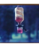 Hummingbird At Feeder 1972 Agfachrome 35mm Slide Car55 - $8.25 CAD