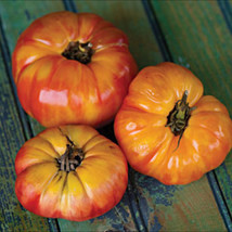 KKG Big Rainbow Tomato 20 100 200 Seeds Big Beefsteak Meaty Fresh Garden - $7.89