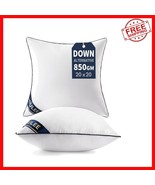 20x20 Down Alternative Pillow Inserts Set of 2 - Navy Blue Elegance - $60.59 CAD