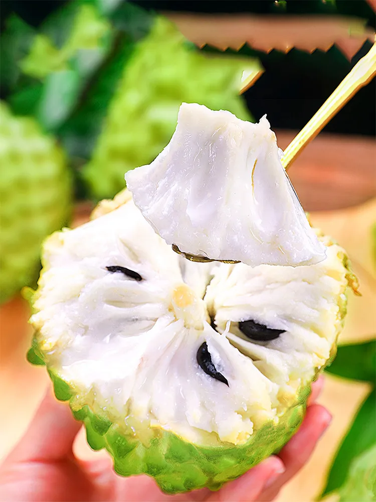 From US 5 pcs Seeds Soursop Fruit Tropical High Germination - £7.80 GBP