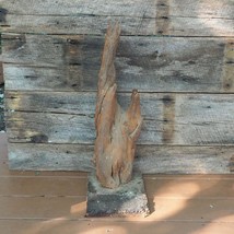 Vintage Driftwood All Natural Mounted On Corkboard Base For Taxidermy - $49.49