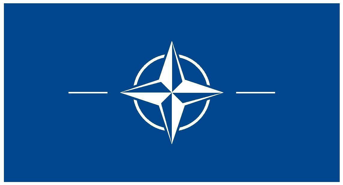 Primary image for Nato International Flag Sticker Decal F331