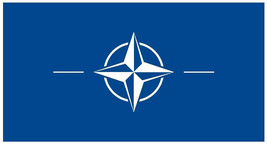 Nato International Flag Sticker Decal F331 - $1.95+