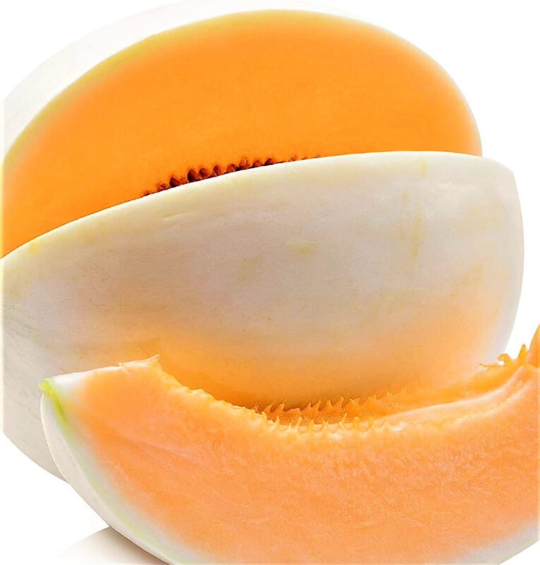 Honeydew Orange Flesh Melon Seeds 35 Seeds Non-Gmo Fast Shipping - $7.99