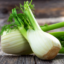Florence Fennel 200+  Seeds - £8.80 GBP