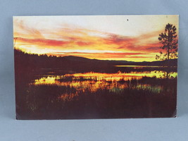 Vintage Postcard - Beaver Dams at Sunset Little Bat Lake - Agency Press - £11.96 GBP