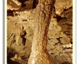 Grand Column Oregon Caves National Monument Cave Junction UNP Chrome Pos... - £2.33 GBP