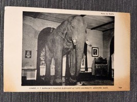 Jumbo PT Barnum’s Elephant At Tufts University Medford MA Circus Postcard - £1.53 GBP