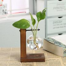 Hydroponic Vintage Vase - $16.99