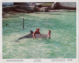 Original 8x10 Color Motion Picture Photo Still 1963 &quot;Flipper&quot; Theatrical... - $10.00