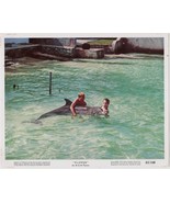 Original 8x10 Color Motion Picture Photo Still 1963 &quot;Flipper&quot; Theatrical... - $13.78 CAD