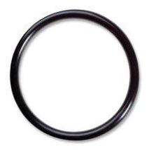 Fleck 13301 O Ring Injector - $2.94