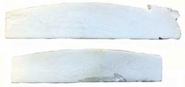 Terrapin Trading Replacement Sitar Top Nut Part Bone 2pc spares Spare Pa... - £20.37 GBP