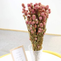 [PINK] Dried Flower White Globe Amaranth Dry Flower Bundles 100% Naturally - £30.81 GBP