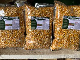 Ghanaian yellow corn seeds(Zea mays), Non hybrid,  High yielding variety... - $29.00