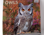 DAYSPRING  Owls Wall Calendar 2024 12&quot; X 24&quot; Includes 2025 Four-Month Ca... - £11.60 GBP